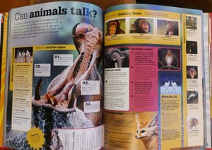 BRAND NEW ENCYCLOPEDIA 📖