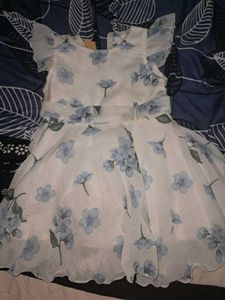 Floral Print Dress