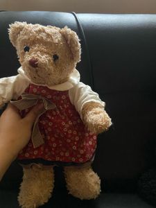 Mini lil teddy with dress