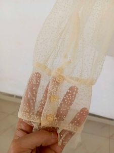 zara sheer organza shirt