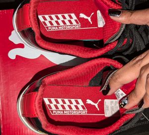 Ferrari Rdg Cat Lace-Up MOTORSPORT Shoes