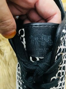 Coach Sneakers