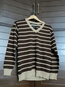 Men brown Striped V-Neck Sweater