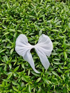 White Bow Clip For Hair