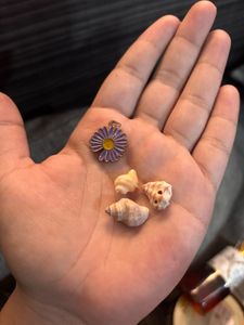3 🐚 And 1 Pendant
