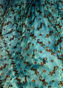 Peacock Colour V Neck Short Gown