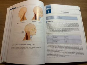 Surface Radiological Anatomy