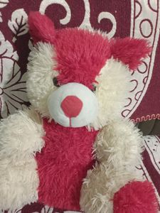 Cute Teddy