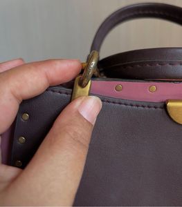 Authentic Coach Dreamer Satchel