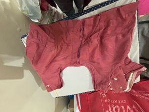 Elegant Embellished saree