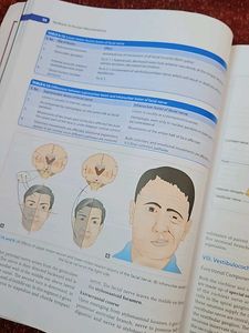 Human Neuroanatomy IB SINGH