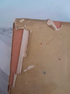 Antique Bengali Book