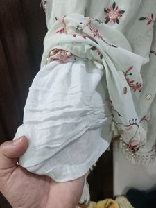 Embroidered Light Green Dress