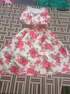 Floral Print Dress