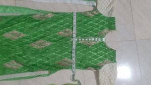 Beautiful Parrot Green Suit Set