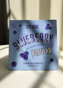 Sfr Color Blueberry Eyeshadow Palette