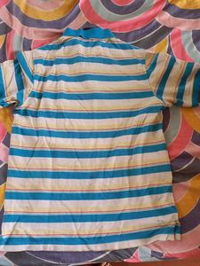 Striped Polo Shirt