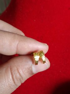 Adorable Gold Earrings