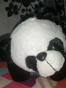 A4 Panda Best Of Birthday Gift