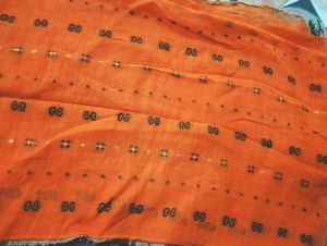 Elegant Orange Saree