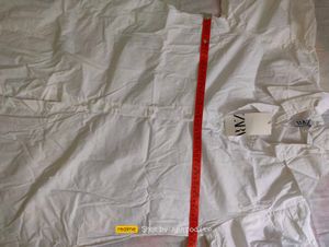 ZARA Shirt dress