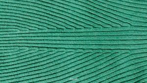 Striped High Neck Sweatshirt Green For Winter