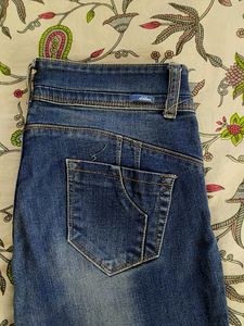 D-BLUSE Branded Ribbed New Jean (Woman)