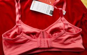 Zivame Women Non Padded Tshirt Bra