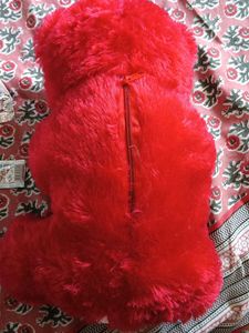 Red Teddy Bear - Just for You