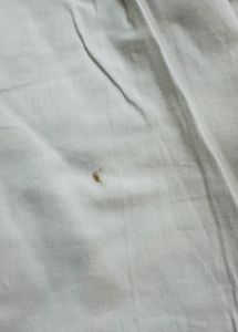 Hand Work White Pant