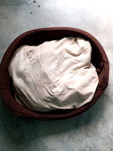 Dog&#39;s Bed