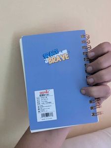 SPIRAL DIARY