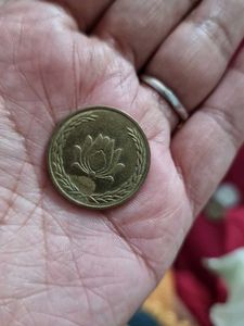 Iranian 250 Rial Coin