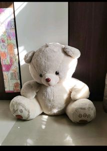 Big Teddy Toy
