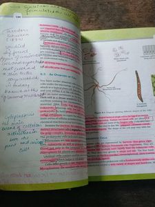 NCERT BOOK 11 TH &amp; 12 CLASS BIOLOGY