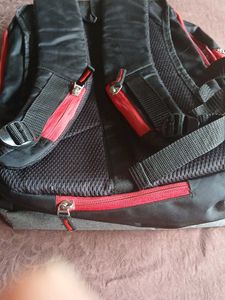 Backpack/ laptop bag