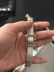 Elegant Silver Crossbody Bag