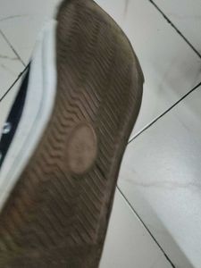 Converse Shoes