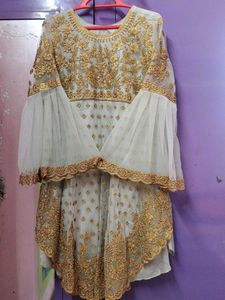 Pakistani Pastel Heavy Work Dress