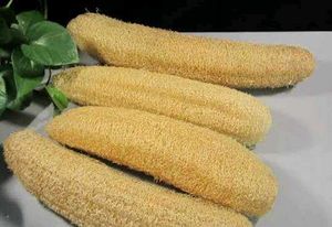 sponge guard 200 seeds