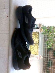 Skechers Sports Shoes