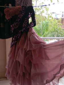 Elegant Ethnic Gown