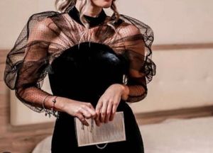 Zara Mesh Choker Neck Velvety Dress