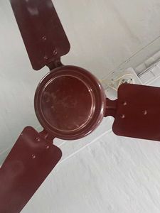 Ceiling Fan - Home Essential