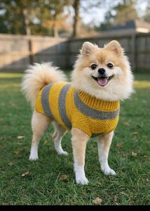 Knitted Winter Sweater for Small Breed Dogs