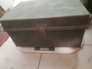 Vintage Trunk Iron Very Cute