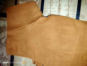 Shiny Saree With Blouse