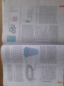 Science Textbook for Class IX