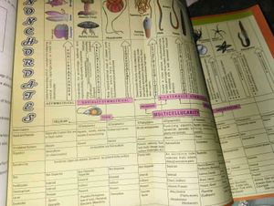 Allen Biology Modules - Complete Set