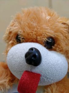 Cute Soft Light Weight Dog